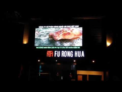 Video dự án