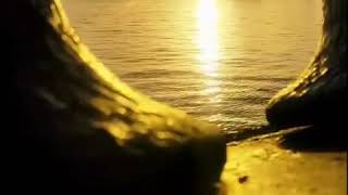 Download lagu Story WA | Terbaru Ngaji Bikin Hati Adem mp3 Download lagu Story WA | Terbaru Ngaji Bikin Hati Adem mp3