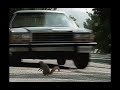 Geico Insurance Squirrel Accident Commercial 2002