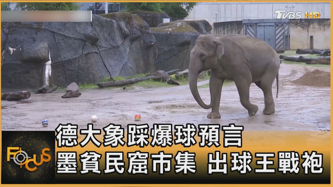 德大象踩爆球預言 墨貧民窟市集 出球王戰袍