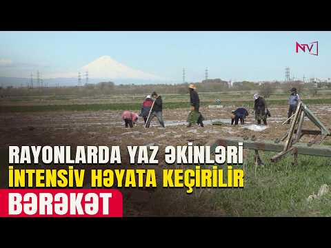 BƏRƏKƏT: RAYONLARDA YAZ ƏKİNLƏRİ İNTENSİV HƏYATA KEÇİRİLİR 14.04.2026