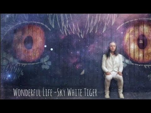 SKY WHITE TIGER - WONDERFUL LIFE [Official Video]