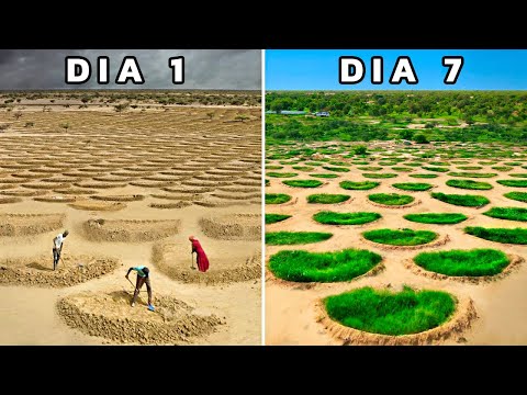 Cómo el Desierto del Sahara se está Transformando en un Oasis Agrícola