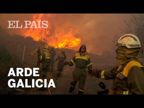 han arrasado más de 4.000 hectáreas