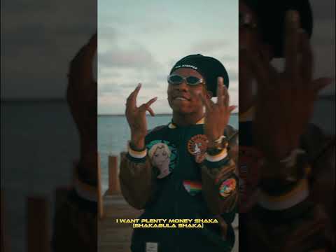 small DOCTOR Ft Bella Shmurda - SHAKA (Visualizer)