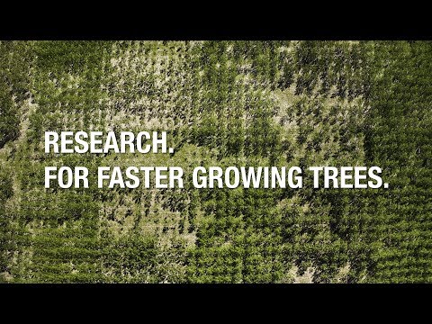 研究。より早く成長する木のために。