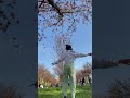 Flowers 🌸 Sakura🌸in Die TV-Asahi-Kirschblütenallee am Berliner Mauerweg #kirschblüte #short