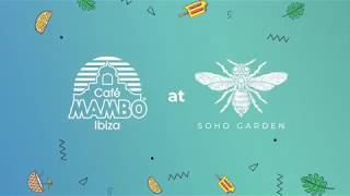 Cafe Mambo Ibiza  Soho Garden Dubai