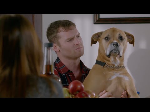 Letterkenny | Season 5 Opening | Watch how you speak on his name