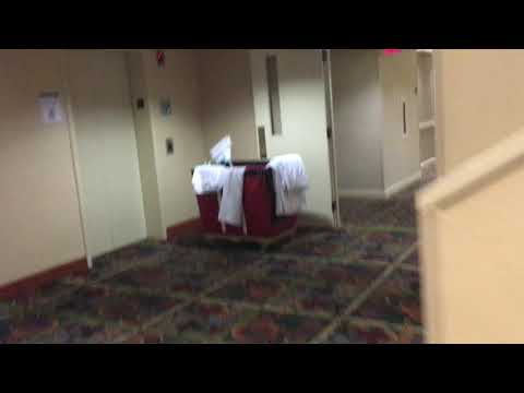 Otis Series 1 Hydraulic Elevator at DoubleTree by Hilton Hotel Holland In Holland MI