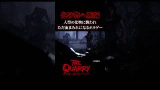 実況者はこの女の子の事が好きです【クアリー 悪夢のサマーキャンプ】
