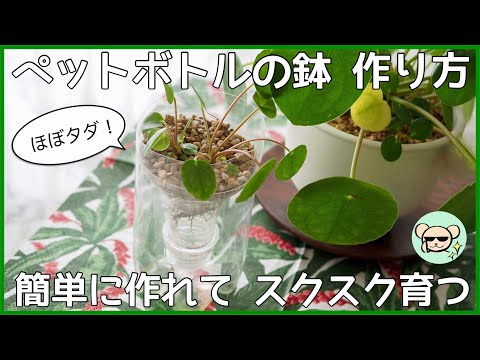 園芸 ペット
