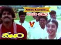 PELLIDU KOCCHINDI VIDEO SONG VAJRAM MOVIE NAGARJUNA ROJA K VISHWANATH INDRAJA V9 VIDOES