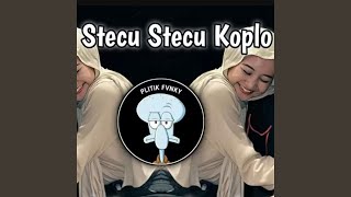 Download lagu Stecu Stecu Koplo mp3