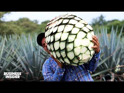 13 Essential Foods That Originated in Mexico for Global Sourcing