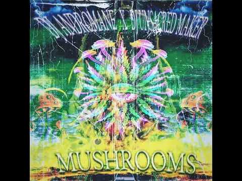 DJ UNSACRED MAKER X DJ ANDROMANE - MUSHROOMS (TENNGAGE TYPE BEAT)