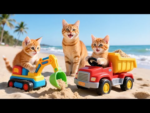 Mama Cat Trims Fur on the Farm and Makes Tiger Hat For Kittens At Home🐾🎩🐯