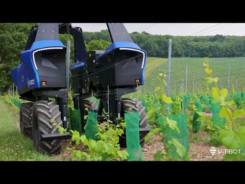 Bakus the Electric vine straddle robot on demonstration in England