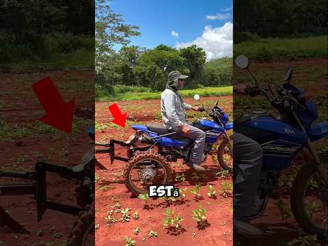 Esto está humillando a los tractores… y cuesta menos que tu celular #shorts #agricultura