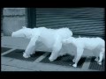 Polar Bears