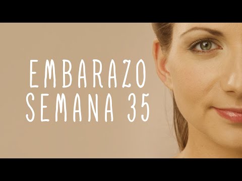 Calendario De Embarazo - Semana 35