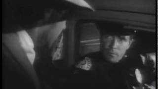 Mr. Hat - Sexy Sadie