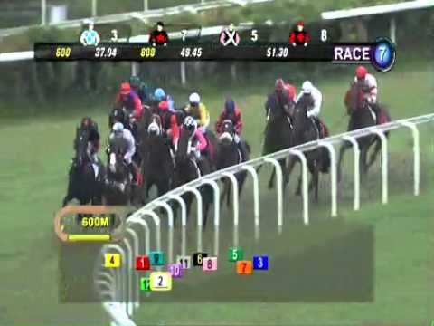 SINGAPORE RACE 05/01/2014 RACE 7 - iAgencyNet.com