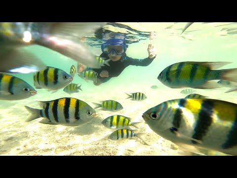 07 02 20 Catamaran Leopard 40 VIDEO 2