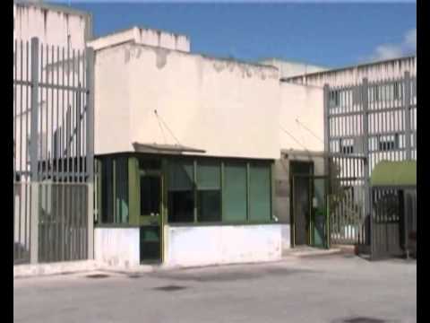 ONDA TG 23.01.2014 - TOPI AL CARCERE DI SULMONA