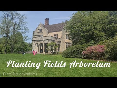 Exploring Planting Fields Arboretum | Oyster Bay NY