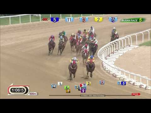170723 Busan  R5 1600m