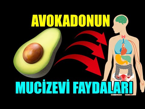 MIRACULOUS BENEFITS OF AVOCADO AND AVOCADO CURE