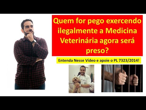 Criminalization of the Illegal Practice of Veterinary Medicine | Yes to Bill 7323/2014