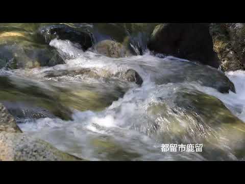 鹿留渓谷【山梨県都留市】