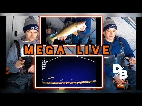 Early Ice with Humminbird Mega Live! | Perch and Walleye Round Lake SK.