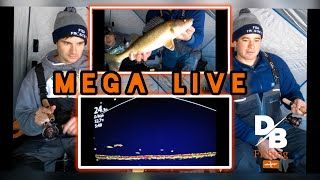 Early Ice with Humminbird Mega Live! | Perch and Walleye Round Lake SK.