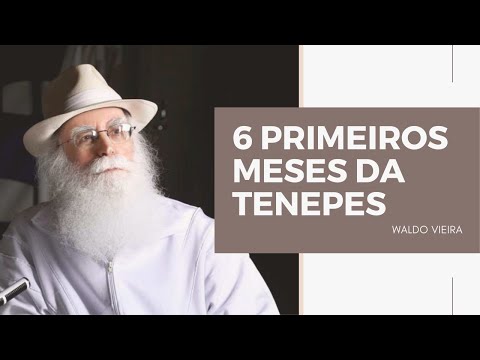 Os 6 primeiros meses da Tenepes - Waldo Vieira