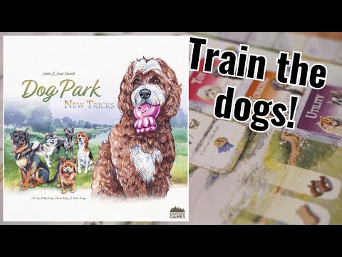 How to play Dog park new tricks