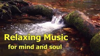 Relaxing Music for Mind and Soul | Music for Deep Meditation | Deep Sleep Music | Calming Music