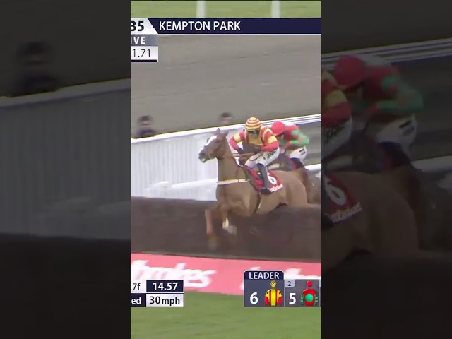 Thumbnail for Post ID: roj85S1oLsY