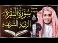 سورة البقرة و الرقية الشرعية علاء عقل Surah Al Baqarah | Powerful Ruqyah By Sheikh Alaa A