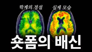 유튜브 썸네일