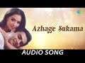 Azhage Sukama Audio Song Paarthale Paravasam Madhavan Simran A R Rahman