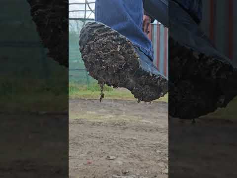 #asmr crushing snails with asics