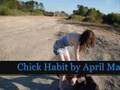 Chick Habit(death proof soundtrack) 