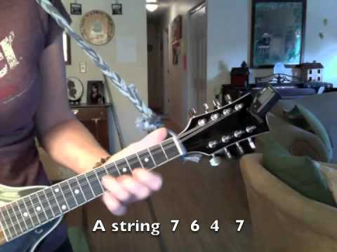 Jonas Brothers - Lovebug mandolin tutorial