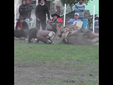 Monta en basto Brian Iriarte en Colonia Mascias Santa Fe