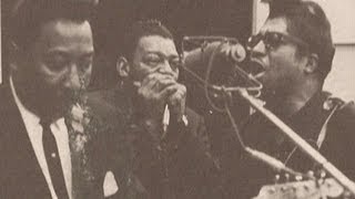 Little Walter-It's Too Late Brother