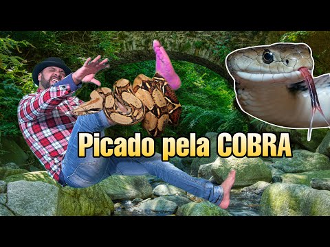 A busca pela SEREIA e seu TESOURO acabou em TRAGÉDIA (jack charles)