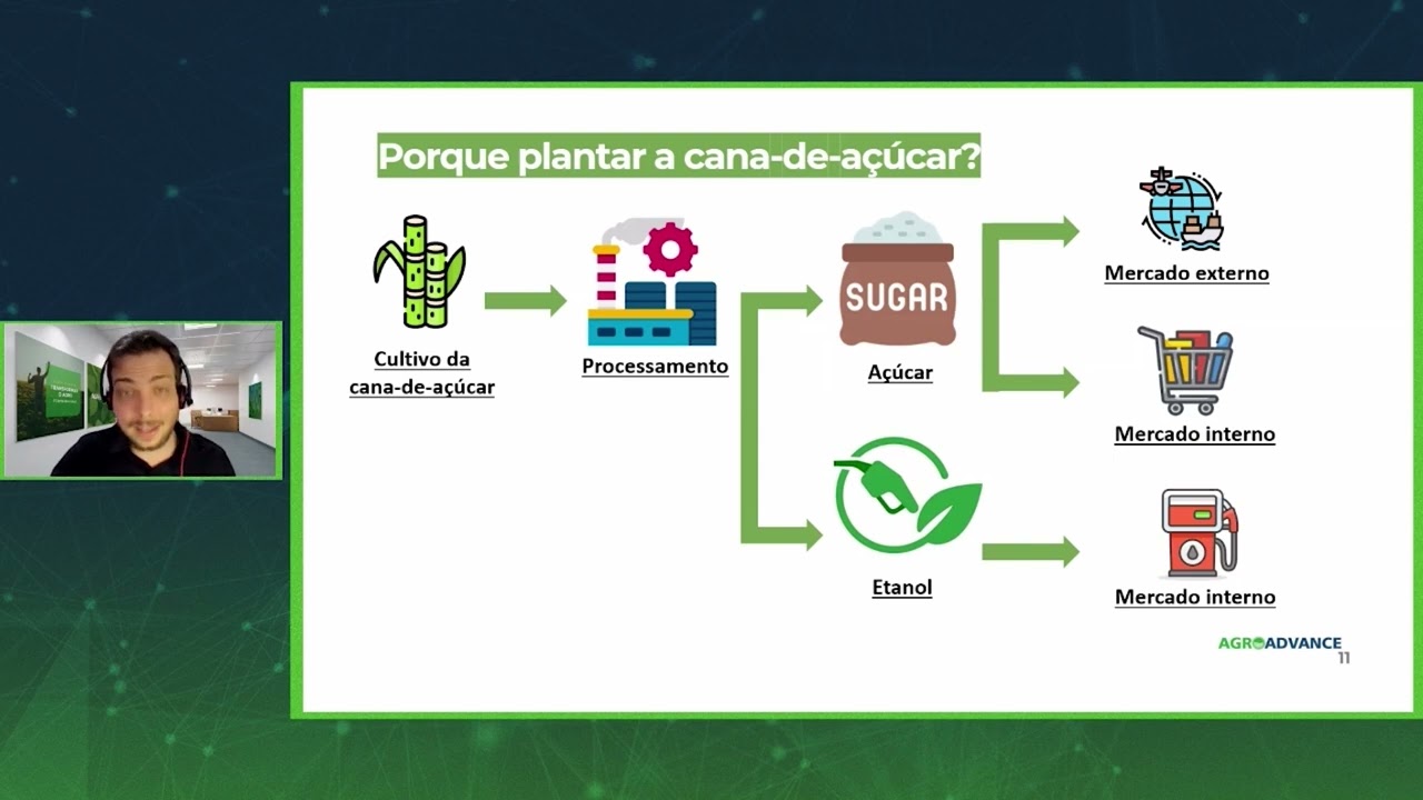 Panorama da Cana-de-Açúcar: Indicadores Técnicos e Perspectivas para a Safra 25/26